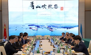 s-1