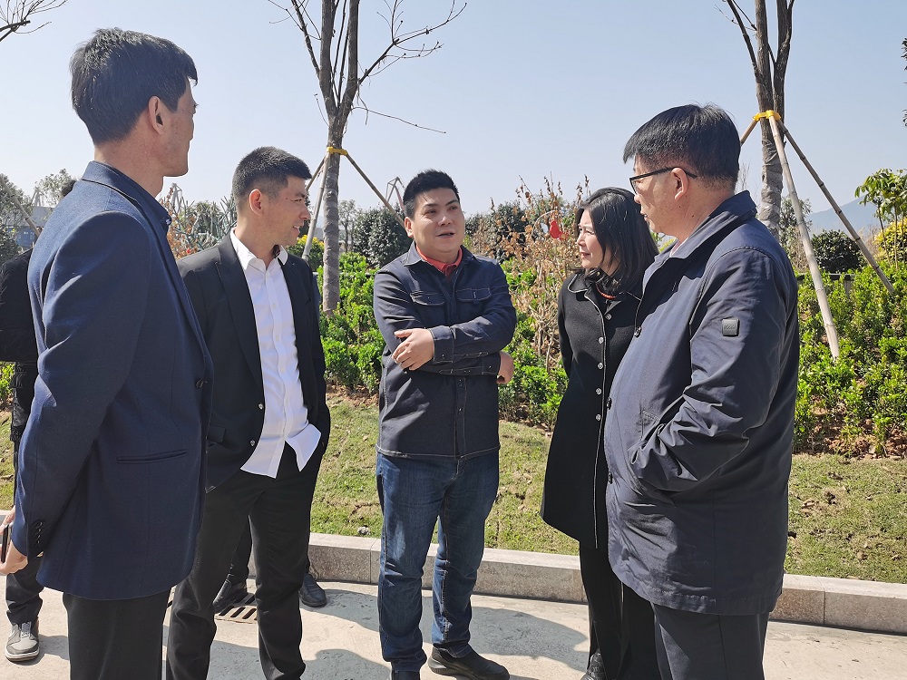 LEWIN·乐玩-(中国唯一)官方网站