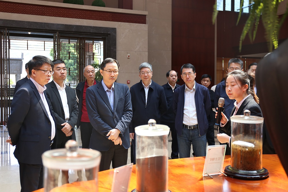 LEWIN·乐玩-(中国唯一)官方网站
