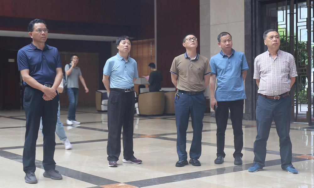 11 LEWIN·乐玩-(中国唯一)官方网站