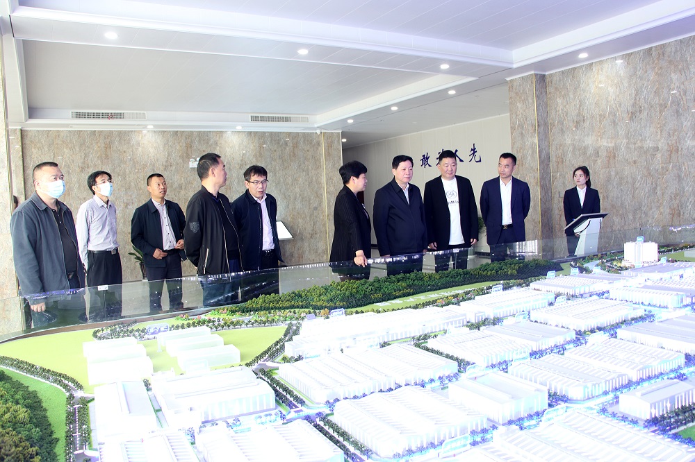 11-1 LEWIN·乐玩-(中国唯一)官方网站