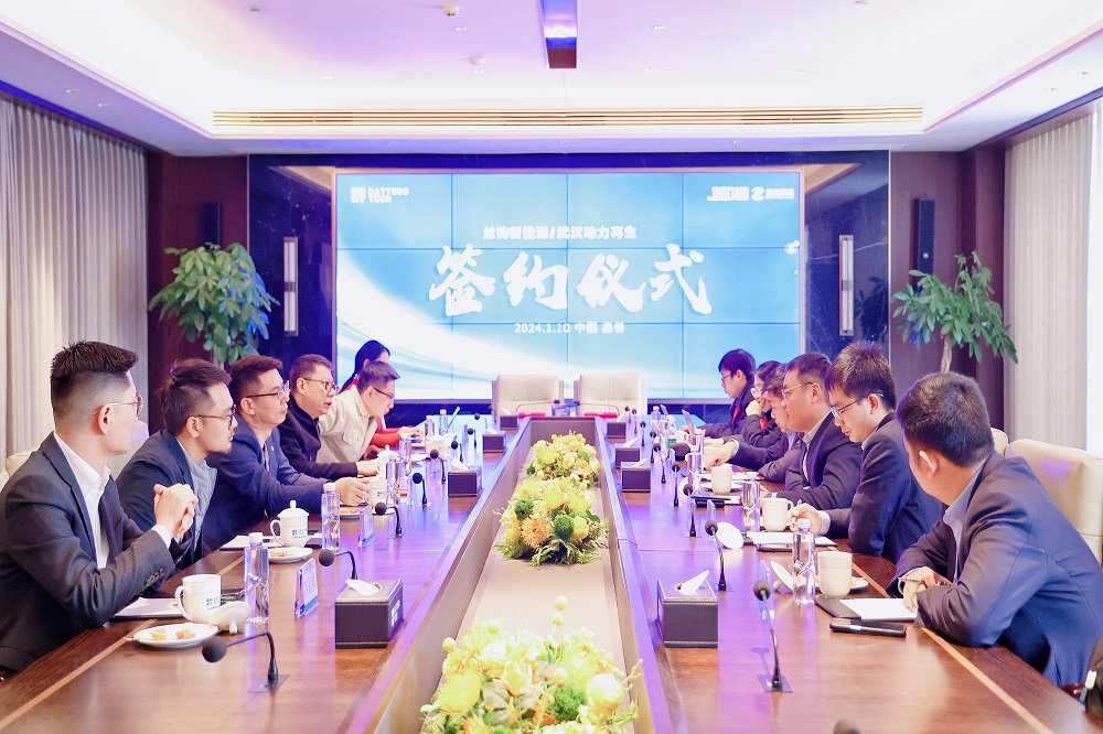 555 LEWIN·乐玩-(中国唯一)官方网站