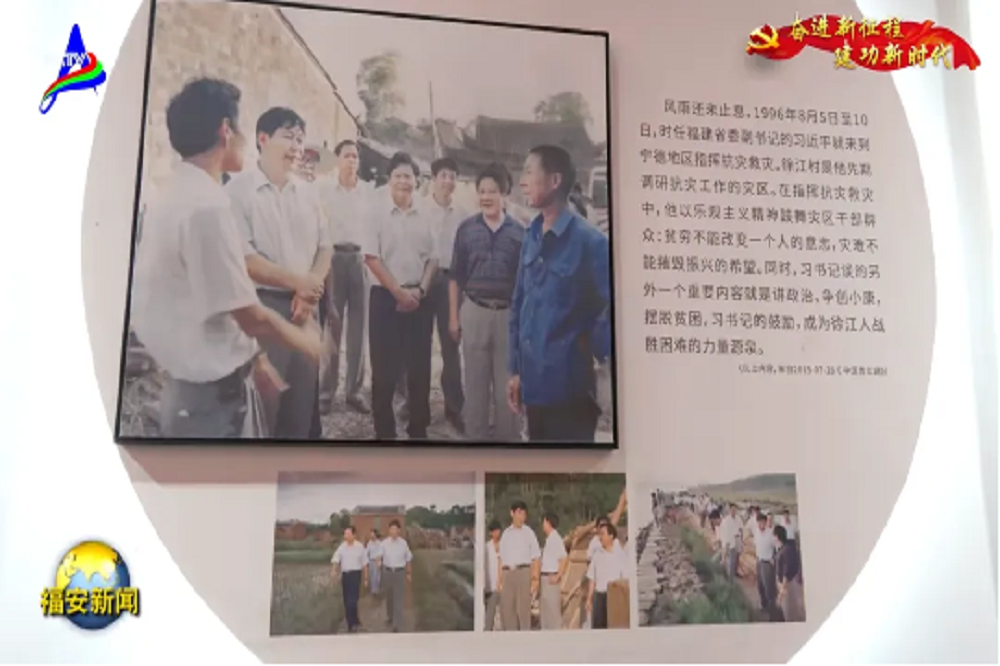 LEWIN·乐玩-(中国唯一)官方网站