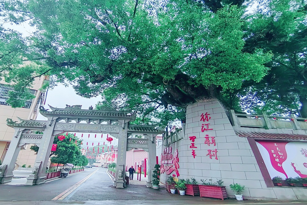 LEWIN·乐玩-(中国唯一)官方网站